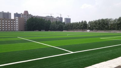 足球場人造草坪