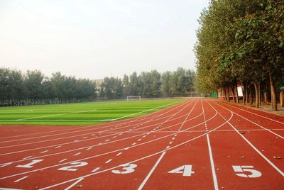 塑膠跑道種類