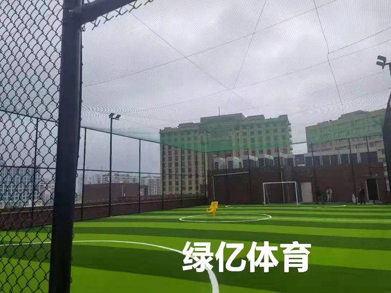 草坪足球場